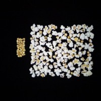 Popped and not popped comparison.jpg