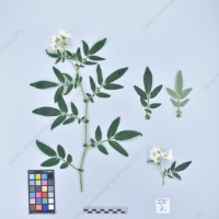 CIP 761210_OCH 11315_lgl_H_2024.jpg