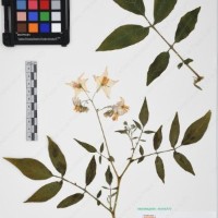 CIP 761394_OCH 12013_03.jpg