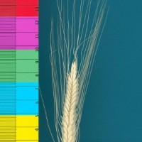 CWI16957_52594_315.jpg