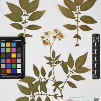 CIP 760305_HHCH 4728_03.jpg