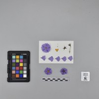 CIP765730_RPSP 045_F.JPG