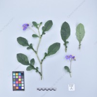 CIP 761700_OCH 13658_rap_H_2024.jpg