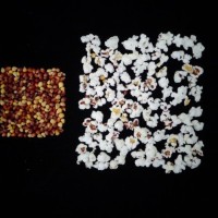 Popped and not popped comparison.jpg