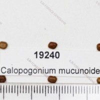 19240.jpg