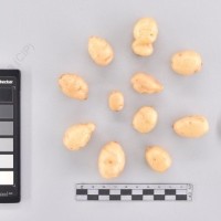 CIP 765693_RPSP 004_acs_T_2024.jpg