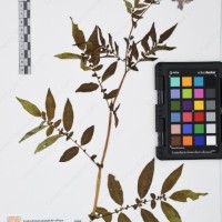 CIP 765690_RPSP 001_01.jpg