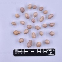 CIP 761100_FB 5064_clv_T(i).jpg