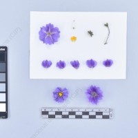 CIP 761364_OCH 11954_blv_F_2024.jpg