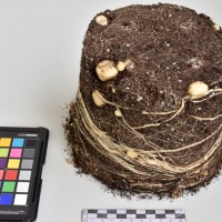 CIP765736_RPSP 052_Tb.JPG