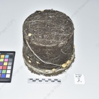 CIP 761833_OCH 13832_buk_Tb_2024.jpg