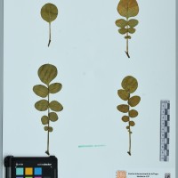 200064_HHCH 4582 CIP 760267.JPG