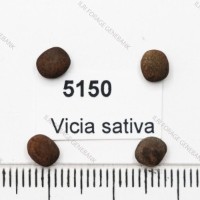 5150.jpg
