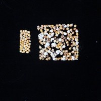 Popped and not popped comparison.jpg