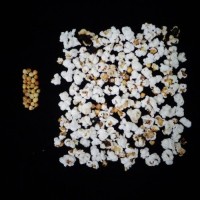 Popped and not popped comparison.jpg