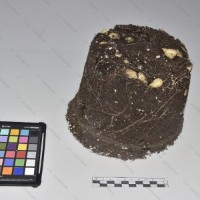 CIP 765693 (1)_Tb.jpg