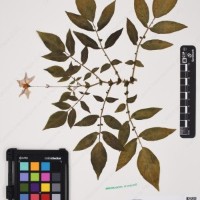 CIP 760259_HHCH 4562_04.jpg