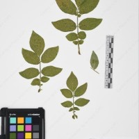 CIP 765704_RPSP 016_02.jpg