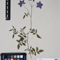 CIP 762915_SSTH 7397_07.jpg