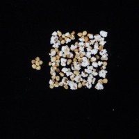 Popped and not popped comparison.jpg