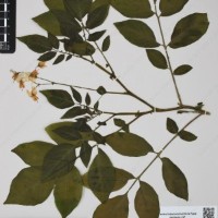 CIP 760257_HHCH 4543_04.jpg