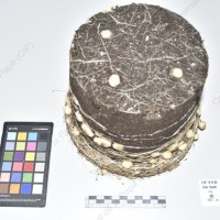 CIP 761700_OCH 13658_rap_Tb_2024.jpg