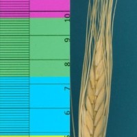 CWI18259_52647_369.jpg