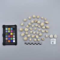 CIP760459_HHA 6616_T.JPG