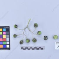 CIP 761827_OCH 13822_buk_B_2024.jpg