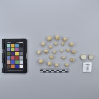 CIP765698_RPSP 010_T.JPG