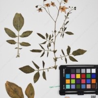 CIP 760236_HHCH 4422_03.jpg