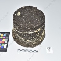 CIP 761827_OCH 13822_buk_Tb_2024.jpg