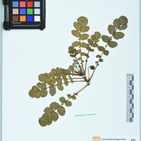 200198_OCH 13820 CIP 761825.JPG