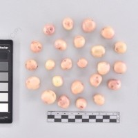 CIP 760688_OKA 4350_opl_T_2024.jpg