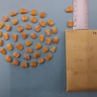 CIMMYTMA 7450 - Reference inventory.jpg