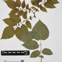 CIP 760310_HHCH 4746_02.jpg