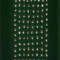 CIMMYTMA 18874 MICH 232 BA22U-2903-17 K.jpg