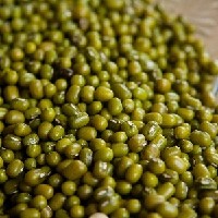 mung-beans-390017_1920.jpg