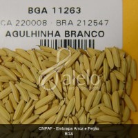 BRA00008598-5.JPG