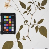 CIP 760236_HHCH 4422_08.jpg