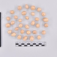 CIP 761102_FB 5079.1_cmm_T_2024.jpg