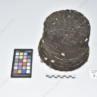 CIP 760593_VSOA 83_acl_Tb_2024.jpg