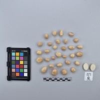 CIP760581_VSOA 46_T.JPG