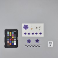 CIP765713_RPSP 025_F.JPG