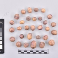 CIP 761021_OCH 13861_buk_T_2024.jpg