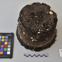 CIP760457_HHA 6611_Tb.JPG