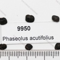 9950.jpg
