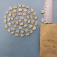 CIMMYTMA 8386 - Reference inventory.jpg