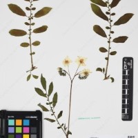 CIP 762631_OCHS 12596_01.jpg