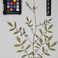 CIP 762631_OCHS 12596_16.jpg